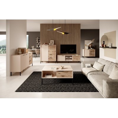 Rast Artisan Eiche + Schwarz Loft-Stil Wohnzimmer-Möbel-Set