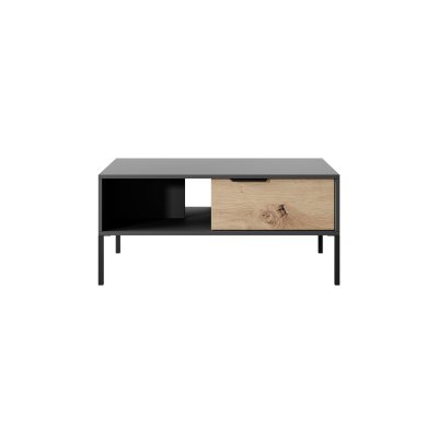 Rast Artisan Eiche + Schwarz Loft-Stil Wohnzimmer-Möbel-Set